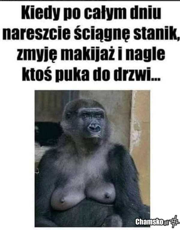 Pukanie