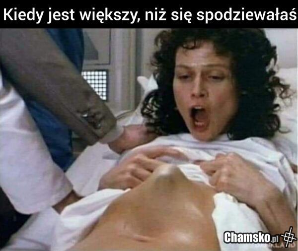 Duży drągal