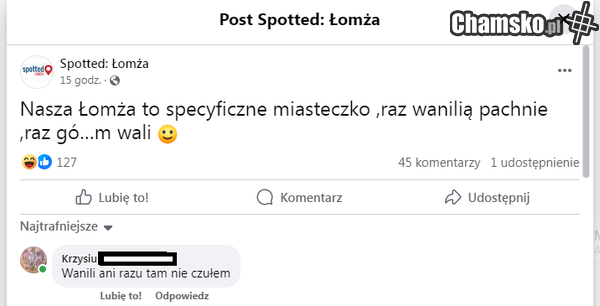 spotted łomża