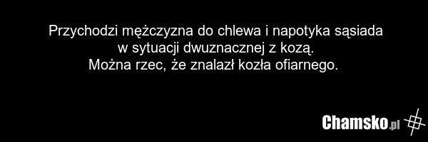 Przychodzi mężczyzna do chlewa i napotyka sąsiada w sytuacji dwuznacznej z kozą. Można rzec, że znalazł kozła ofiarnego.