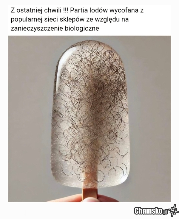 Lodzik