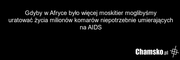 Gdyby w Afryce było więcej moskitier moglibyśmy uratować życia milionów komarów niepotrzebnie umierających na AIDS
