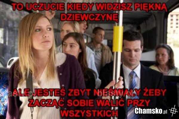 Nieśmiałość