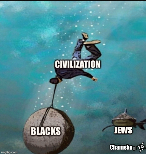 Cywilizacja