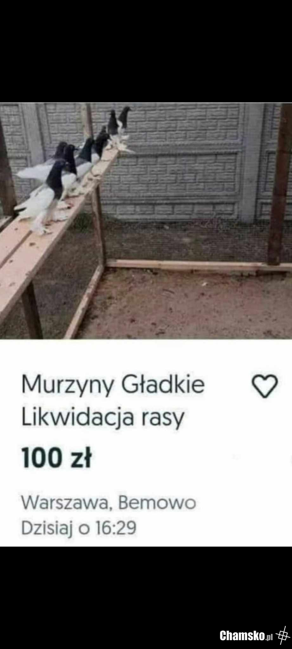 Pociągająca perspektywa