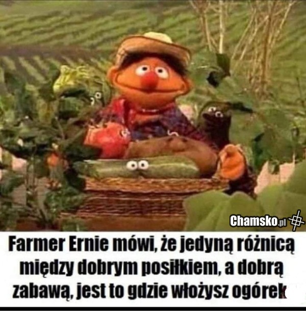 Ogórek