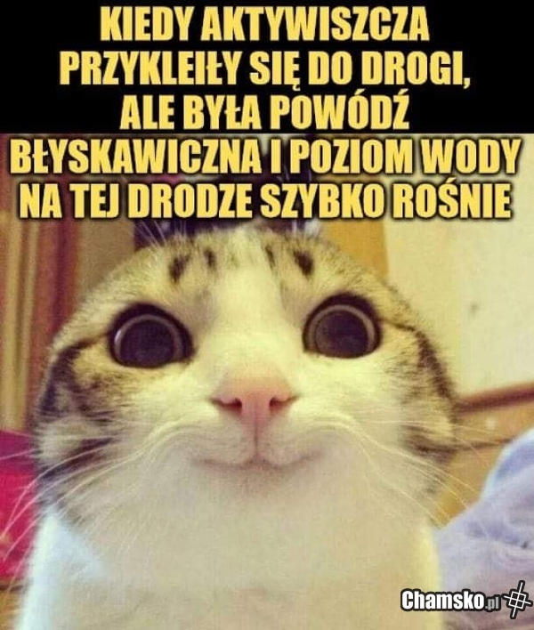 Aktywiści
