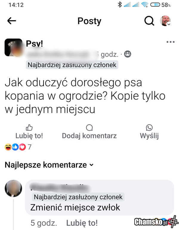 Kopalnie w ogródku