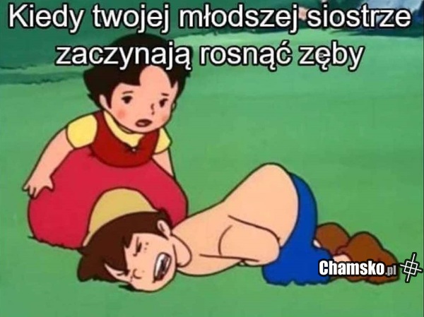 Zęby