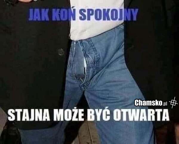 Spokojny koń