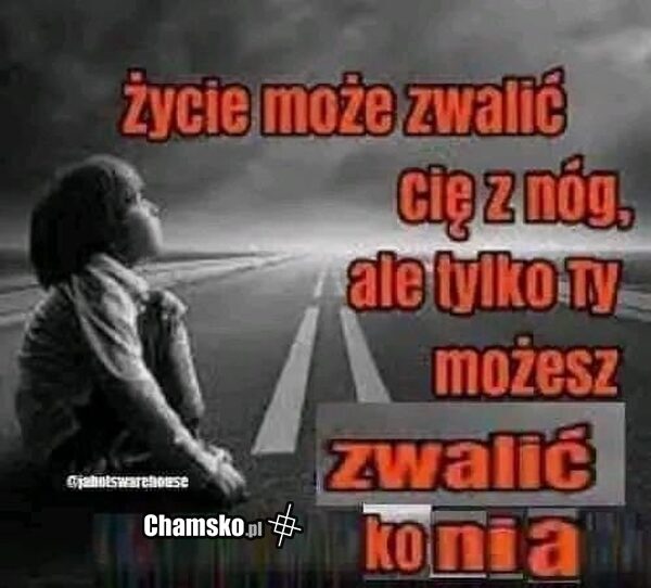 Sentencja