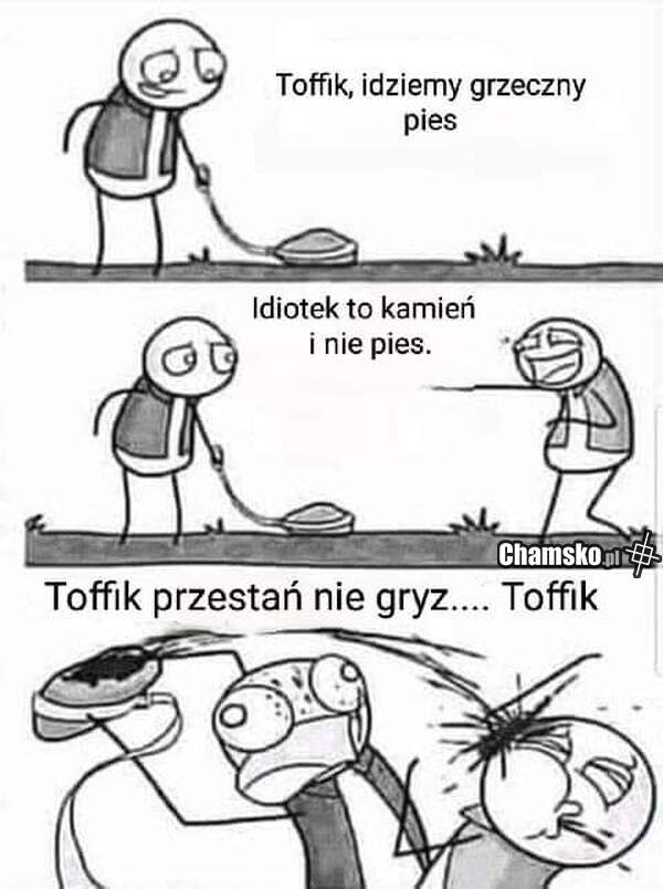 Agresywny piesek