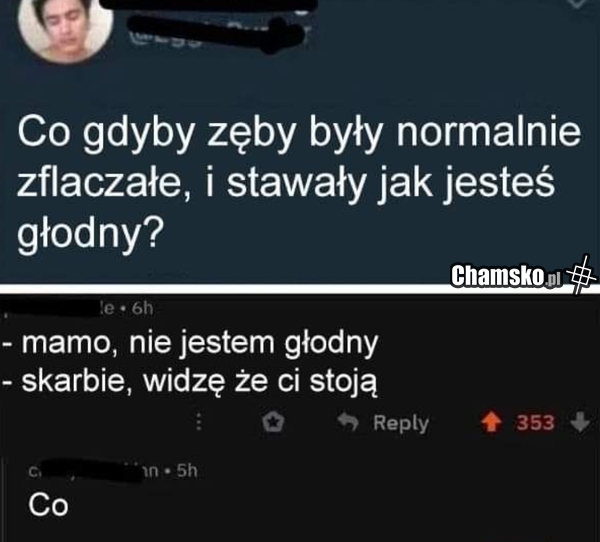 Zęby