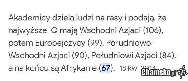 Inteligencja