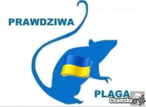 Taka prawda.
