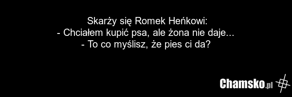 Skarży się Romek Heńkowi: - Chciałem kupić psa, ale żona nie daje... - To co myślisz, że pies ci da?