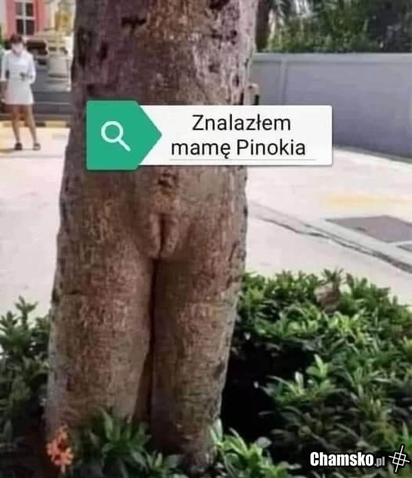 Mama pinokia