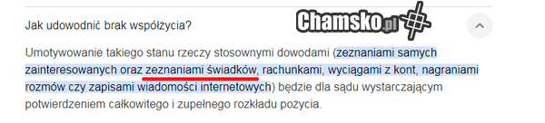 podpowiedzi google.pl