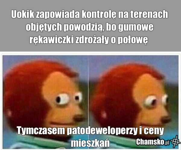 Tymczasem ceny mieszkań