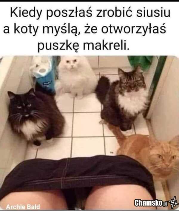 Sikanie