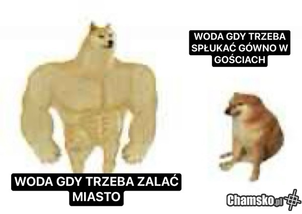 Żywioł