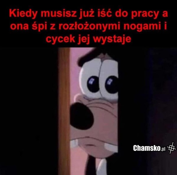 Wyjście do pracy