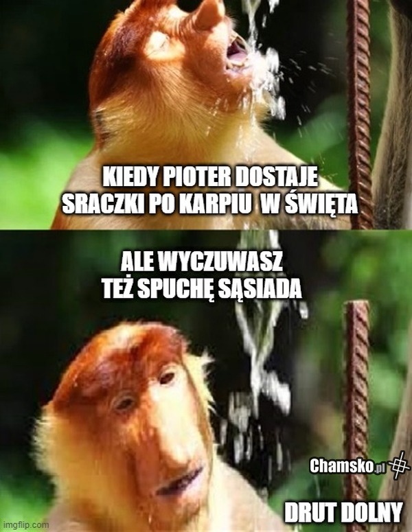 Sraka