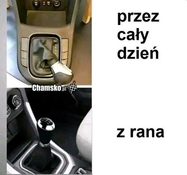 Faceci zrozumieją