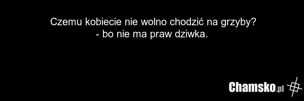 Czemu kobiecie nie wolno chodzić na grzyby? - bo nie ma praw dziwka.