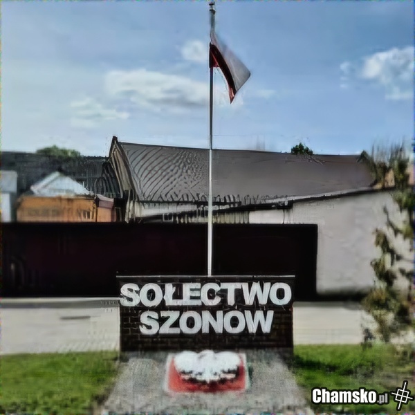 Miasto kobiet