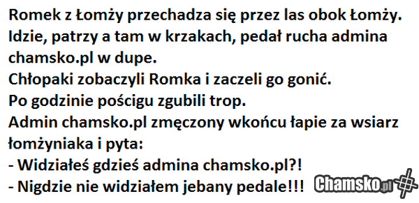 admin chamsko.pl