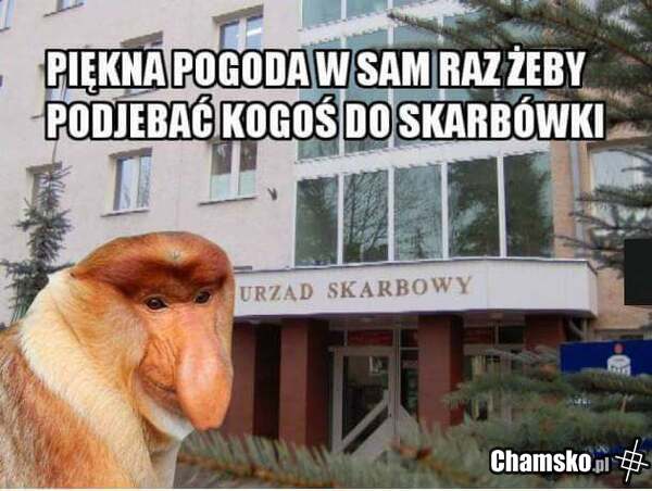 46 000 donosów do skarbówki w 2023 roku