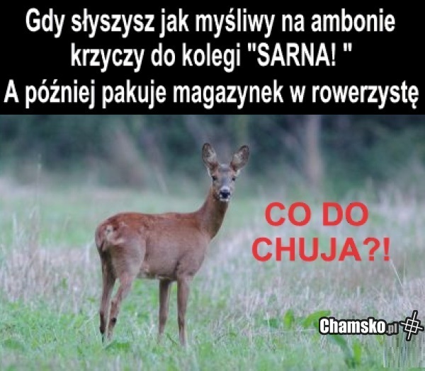 Myśliwy