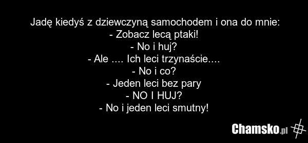 Jadę kiedyś z dziewczyną samochodem i ona do mnie: - Zobacz lecą ptaki! - No i huj? - Ale .... Ich leci trzynaście.... - No i co? - Jeden leci bez pary - NO I HUJ? - No i jeden leci smutny!