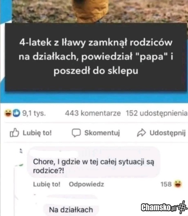 Rodzice