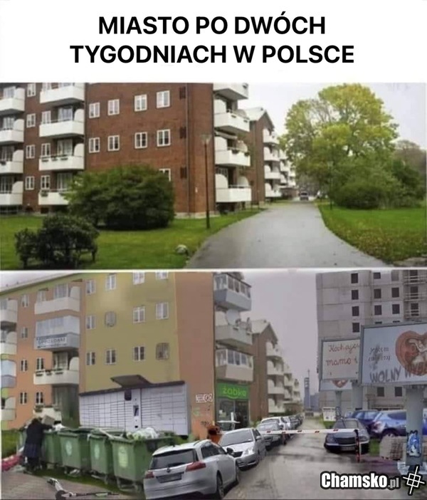 Polsza