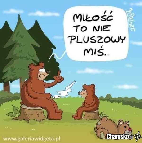 Pluszowy miś