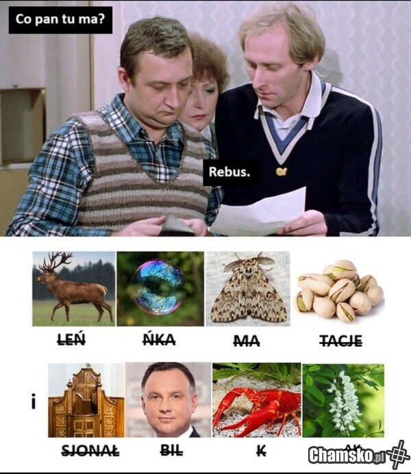 Rebusik