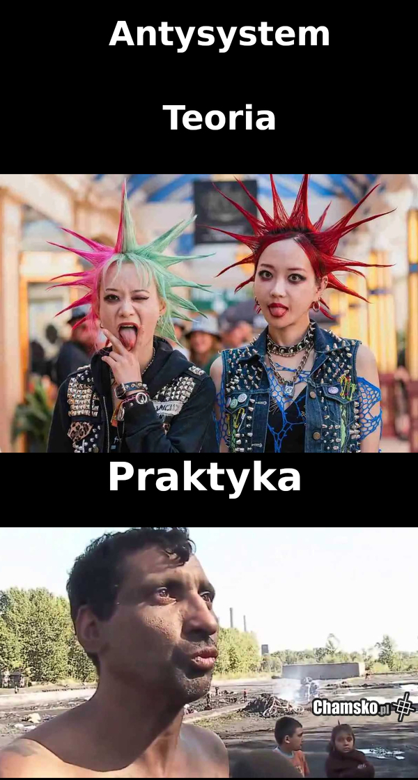 Antysystemowość