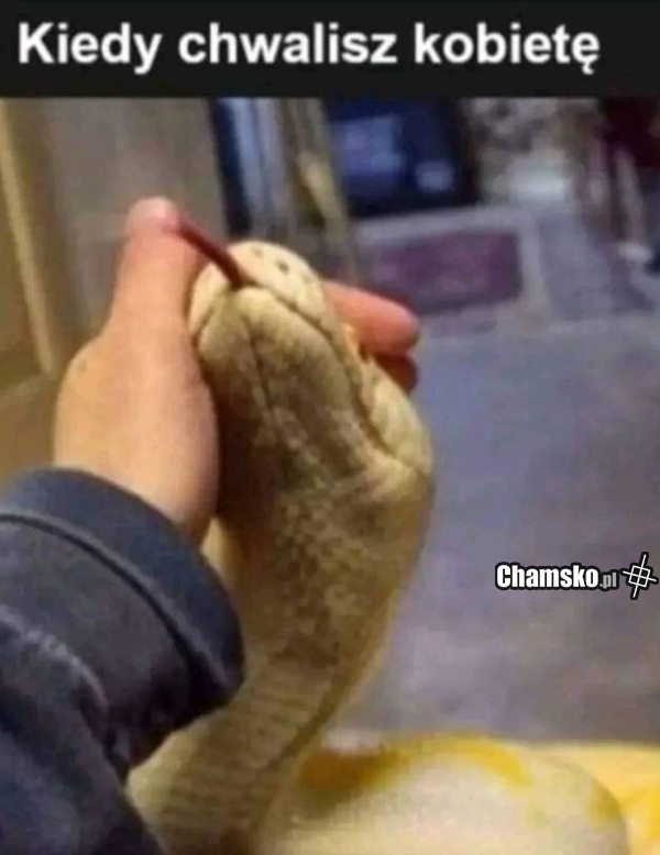 Chwalenie kobiet