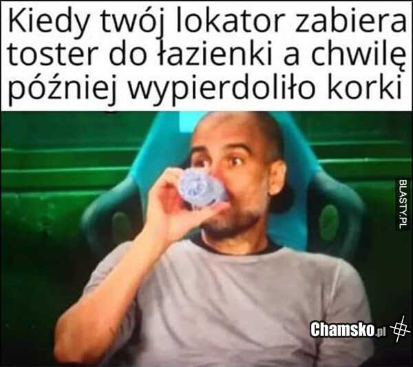 Toster