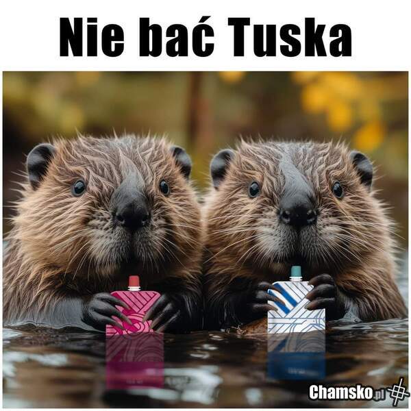 Nie bać