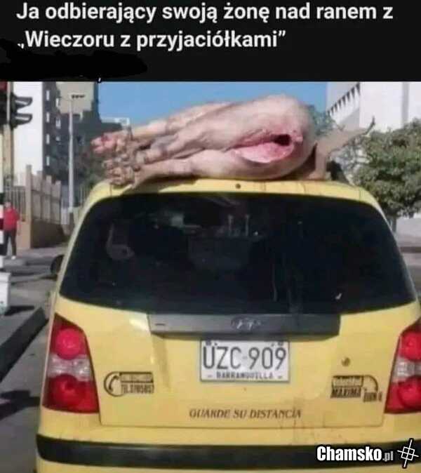 Powrót z imprezy