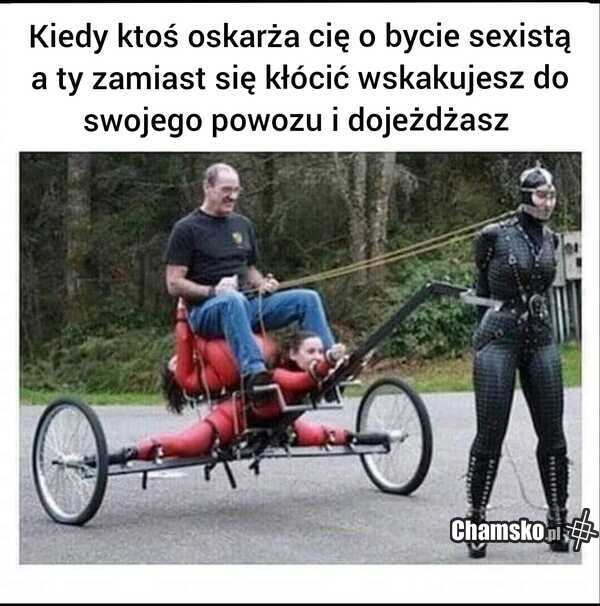 Seksista