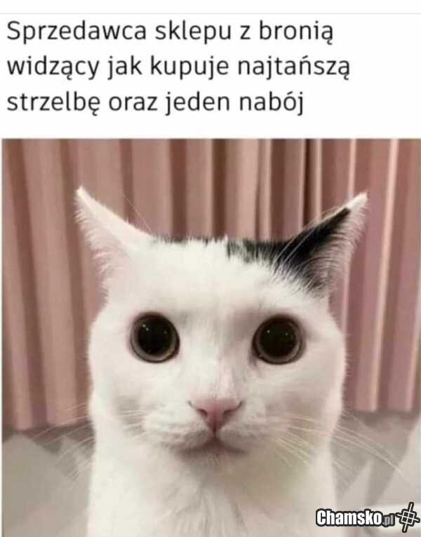 Zakupy