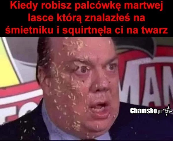 Zawsze to samo