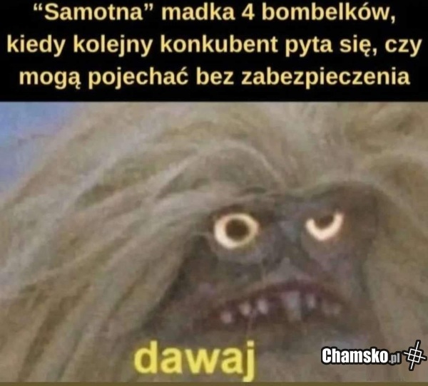 Pewnie że tak
