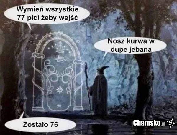 Płcie