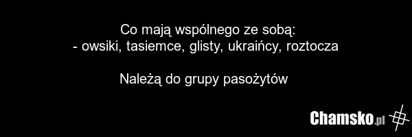 Co mają wspólnego ze sobą: - owsiki, tasiemce, glisty, ukraińcy, roztocza Należą do grupy pasożytów