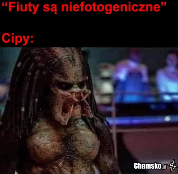 Tzipy